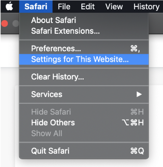 safari_camera_mic.png