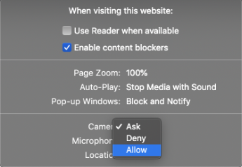 safari_allow_access.png